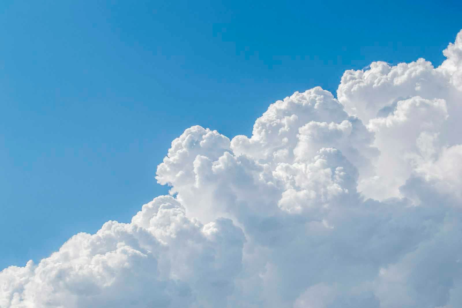 How Companies Ensure Solid Cloud Resilience: A Buyer's Guide for Decision-Makers